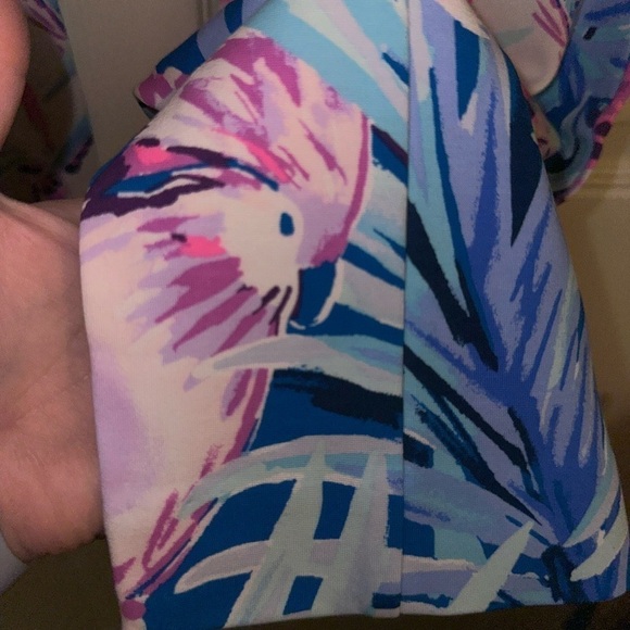 NWT Lilly Pulitzer Kelly knit skinny ankle pants Mr. Peacock B tweethearts 8 - Picture 11 of 12